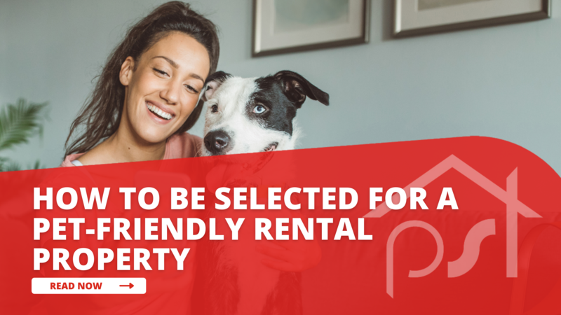 Embracing Pet-Friendly Features in Rental Properties