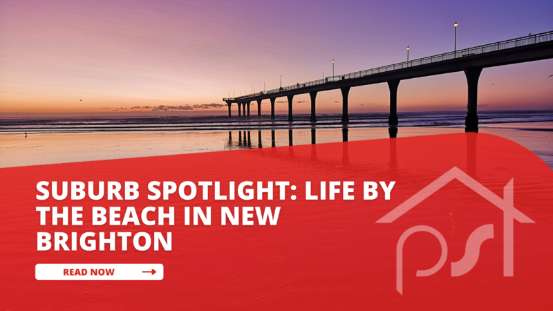 New Brighton Suburb Spotlight