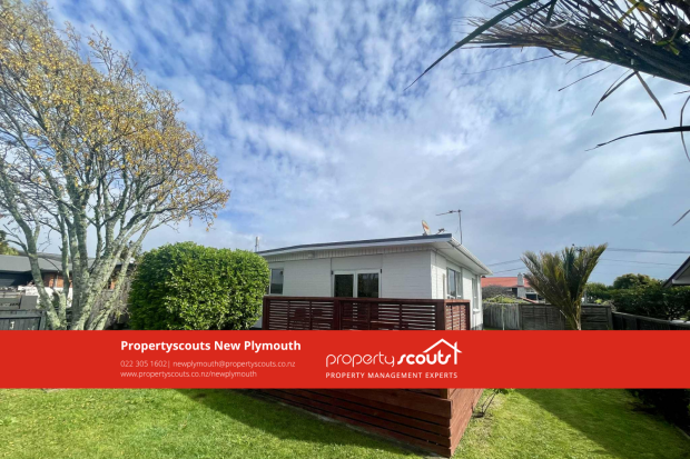 Must-Have on Mangorei