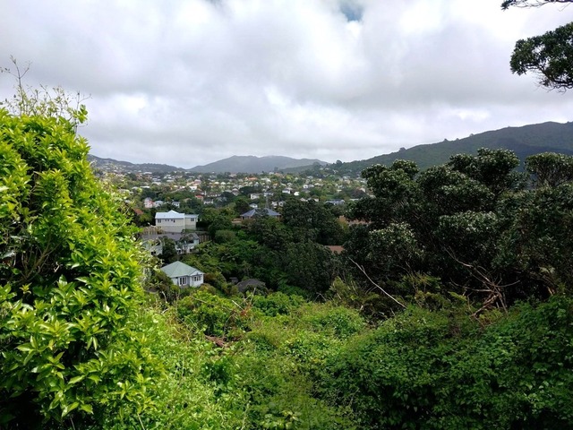 Sunny Northland Downstairs Flat